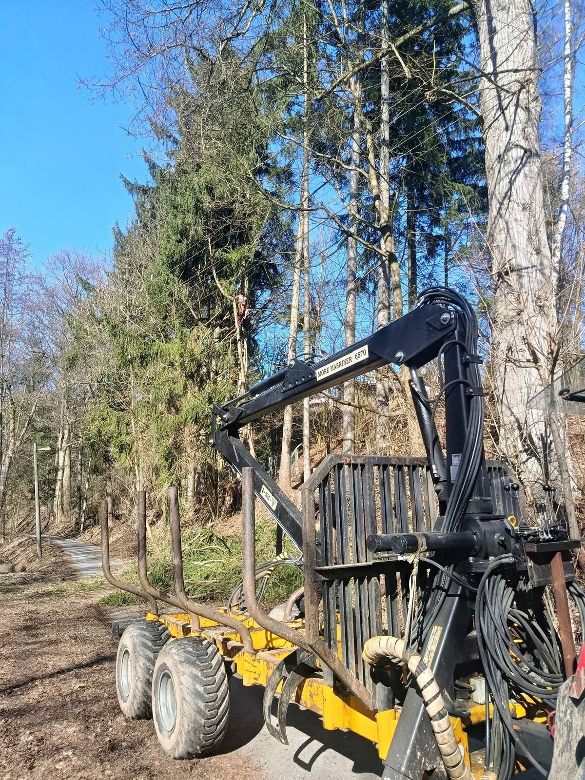 Vyvážečka s hydraulickým jeřábem nakládá kulatinu v lese